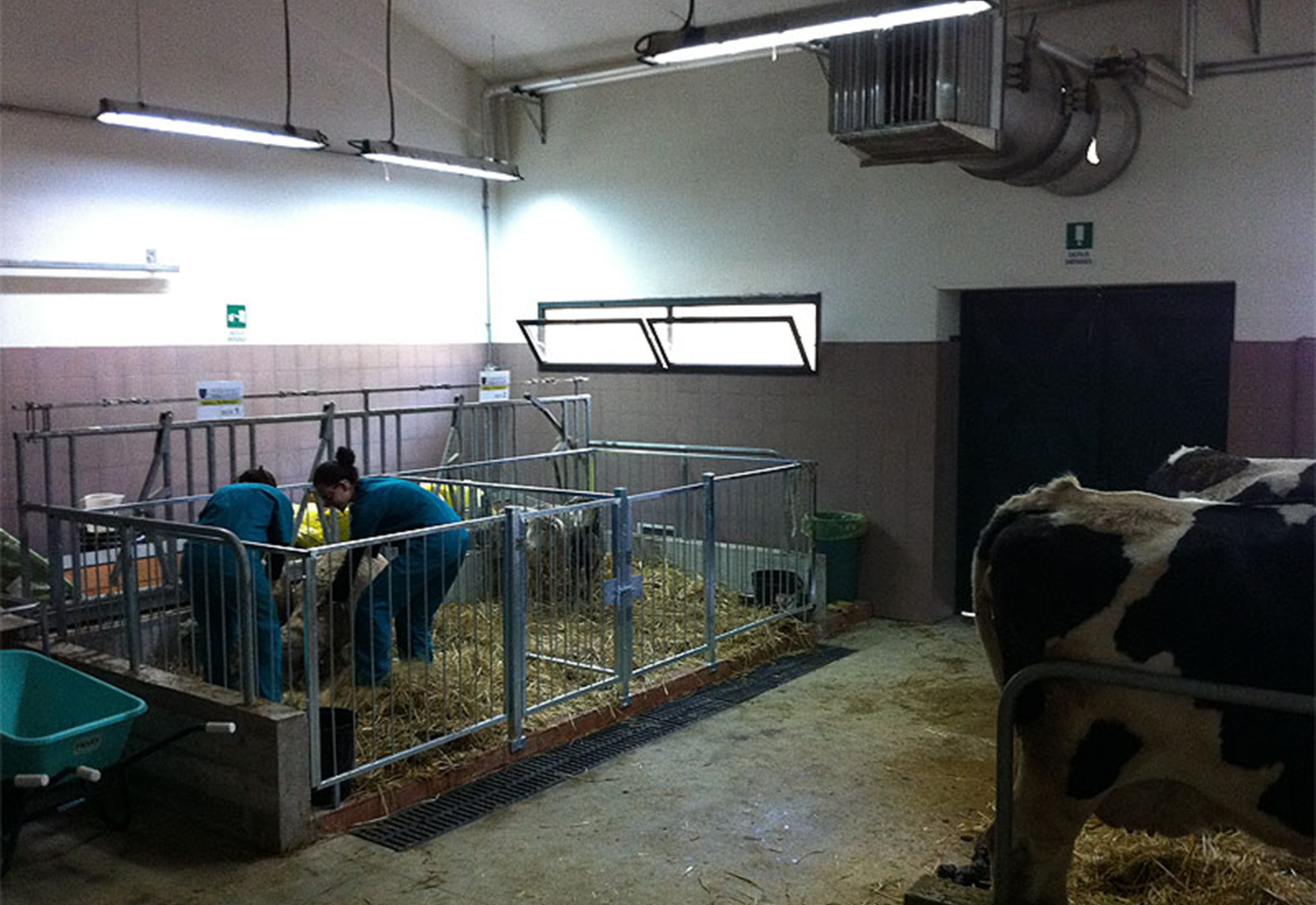 Faculty of Veterinary in Matelica - View of the veterinary hospital