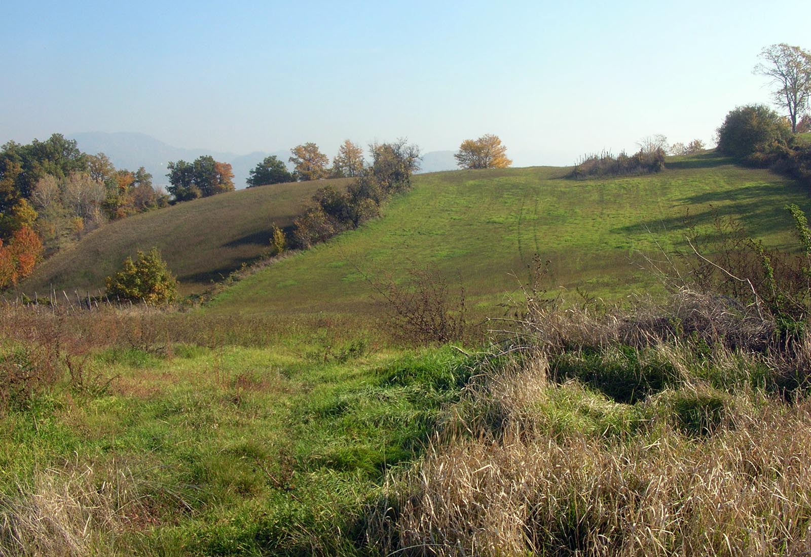 Borgo Cascinassa a Pozzol Groppo - Vista del territorio