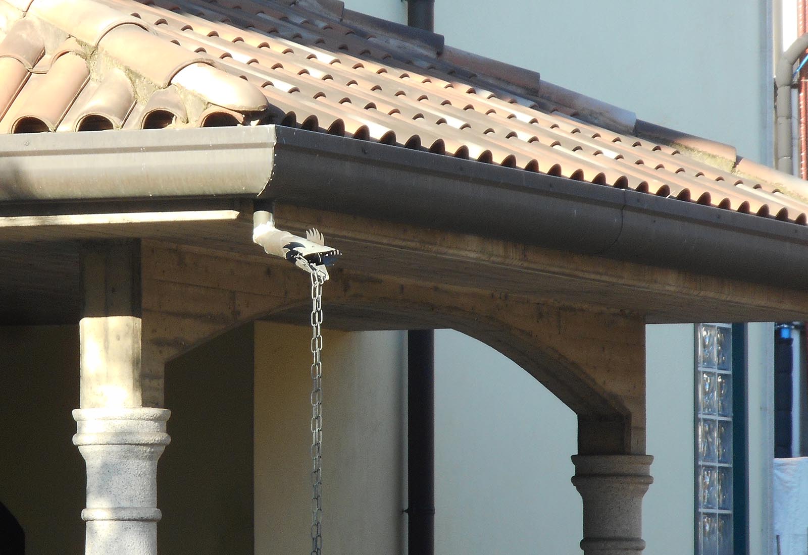 House in 4th november street in Pero - Detail of the facade