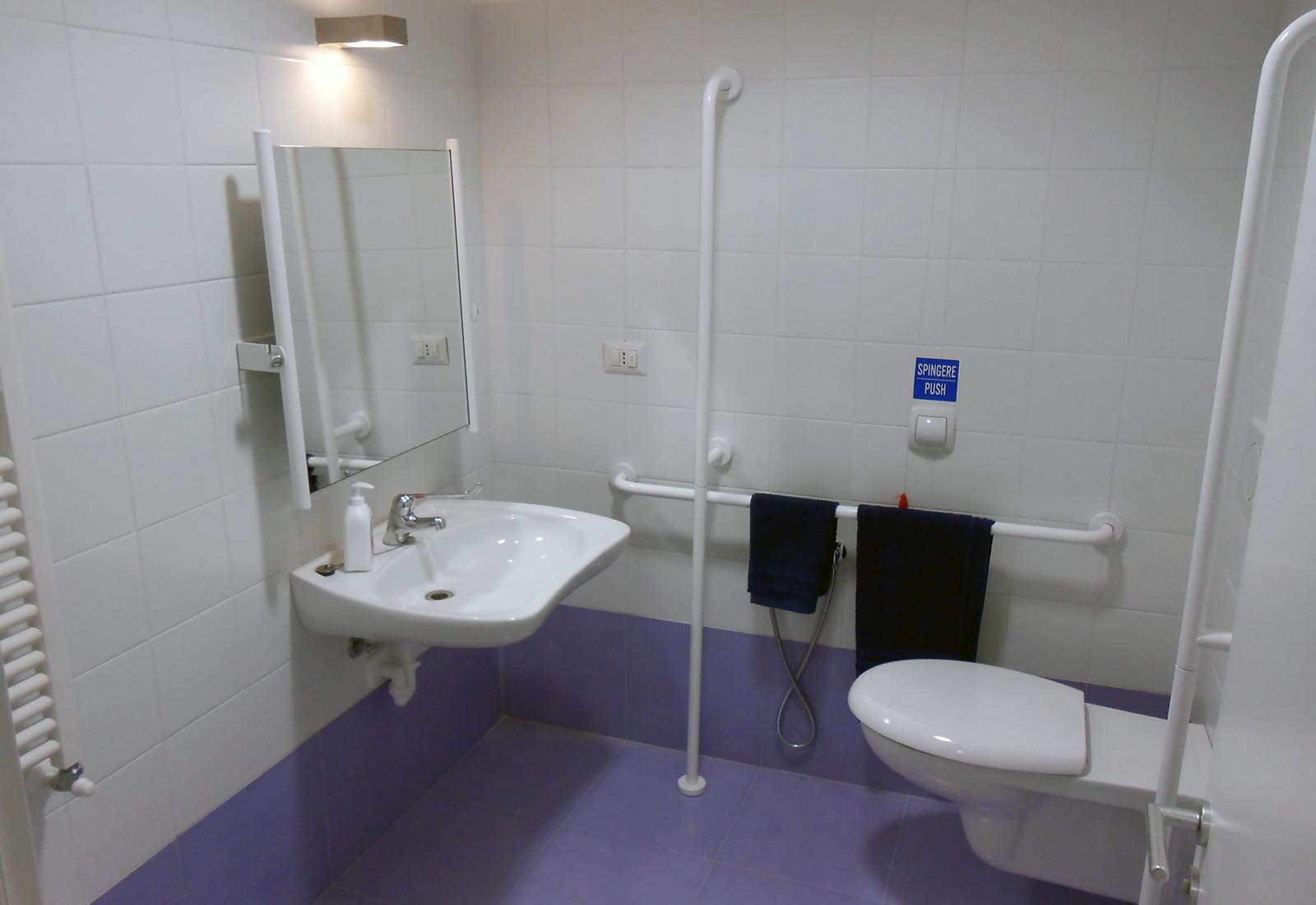 Psychotherapy and medical study in Rho - The disabled bathroom