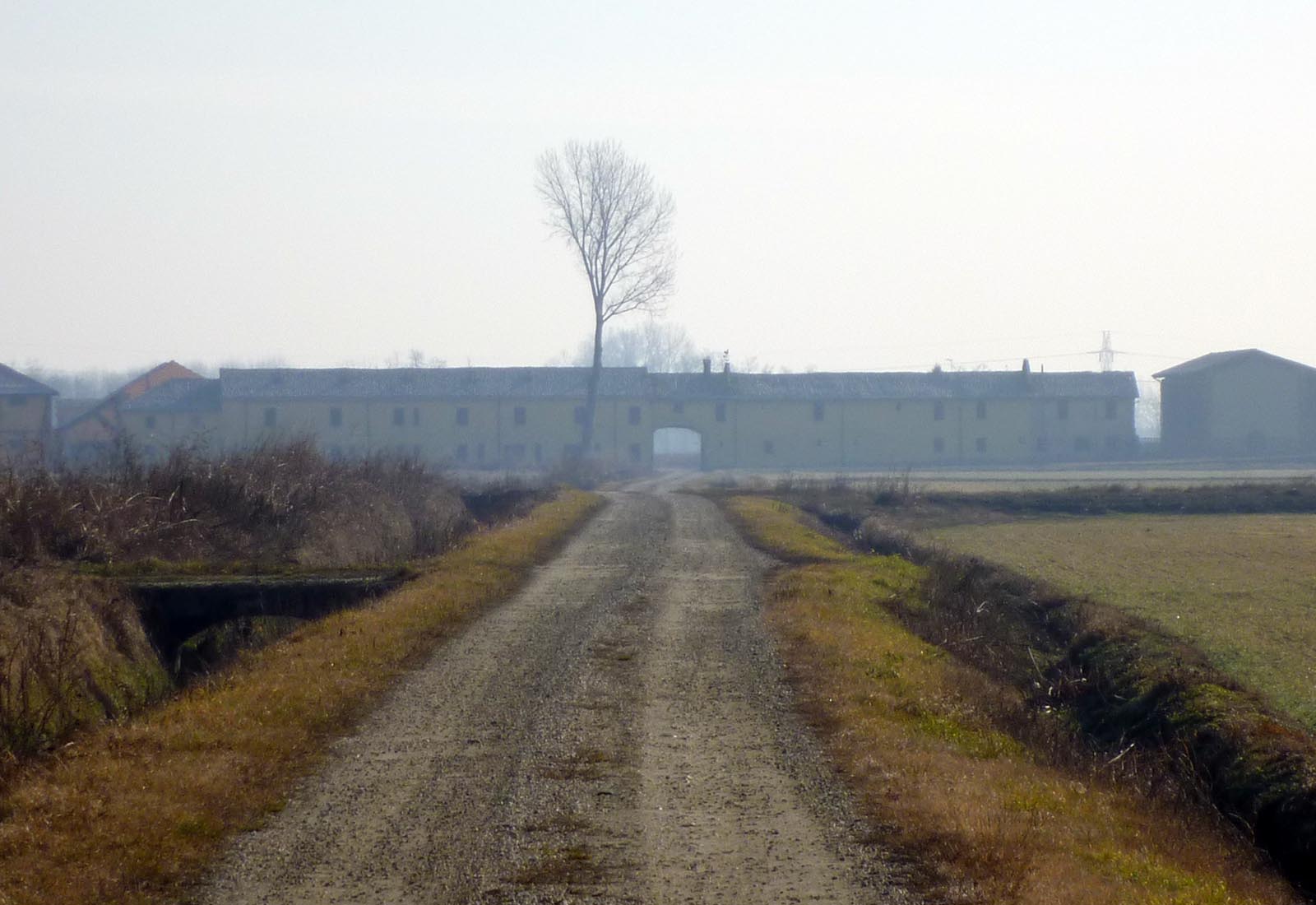 Azienda agricola a Pieve del Cairo - Vista