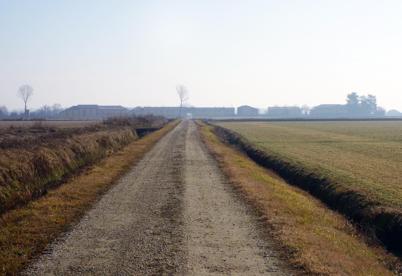 Azienda agricola a Pieve del Cairo - Vista