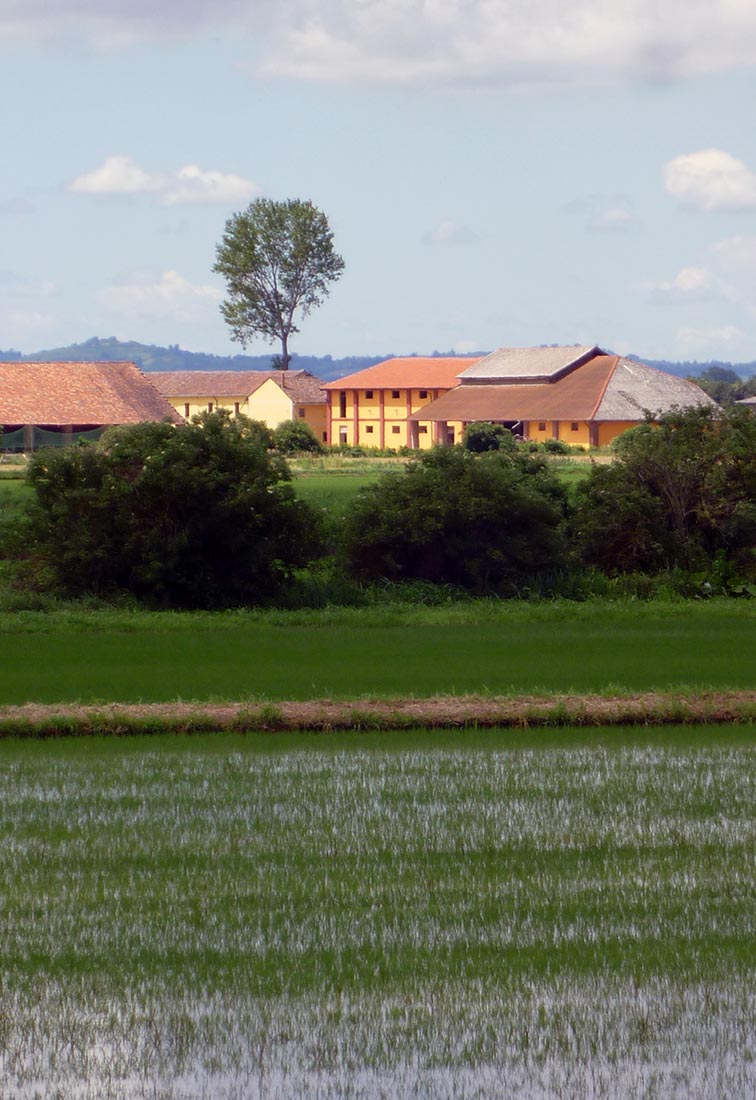 Azienda agricola a Pieve del Cairo - Vista