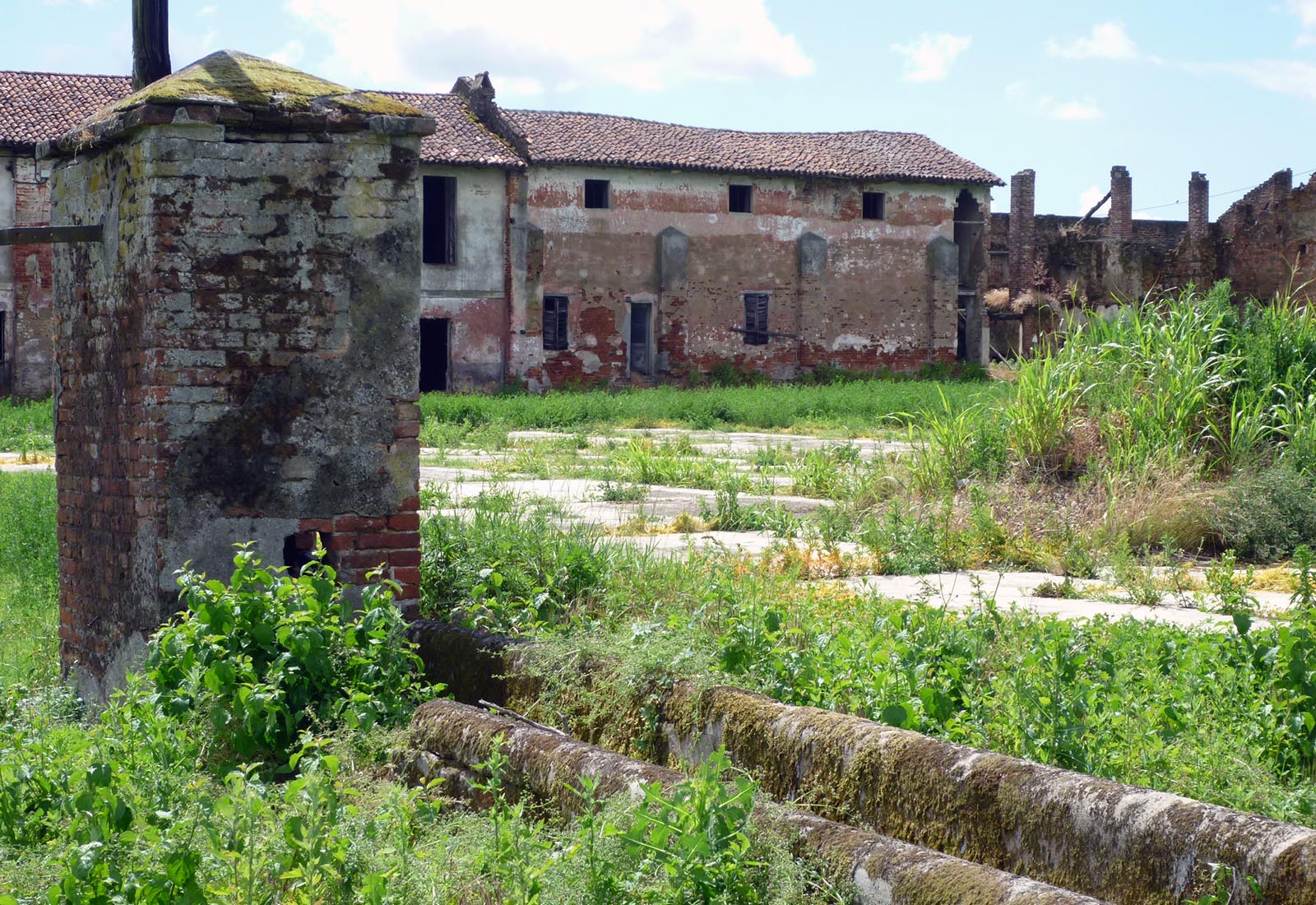 Azienda agricola a Pieve del Cairo - Vista