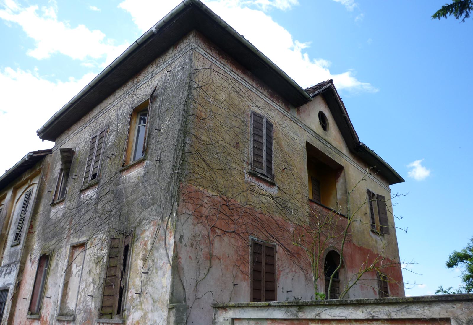 Azienda agricola a Pieve del Cairo - Vista