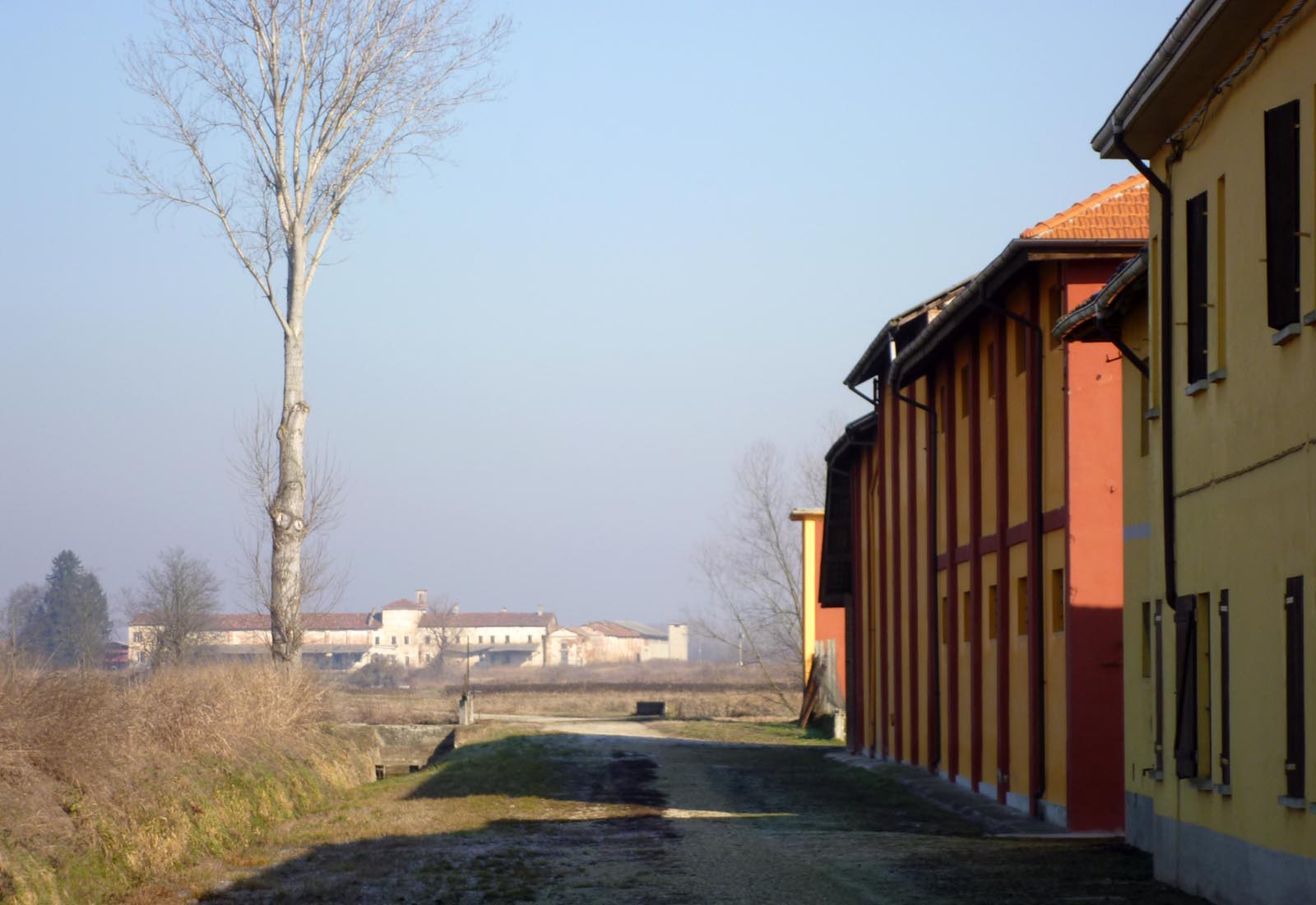 Azienda agricola a Pieve del Cairo - Vista